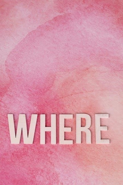 Free Who What When Where Why Graphic Organizer PDF - Download Now!